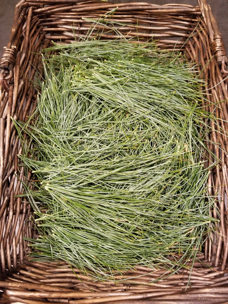 K&ouml;nnte beinhalten: Ein Weidenkorb gef&uuml;llt mit frischen gr&uuml;nen Kiefernnadeln.
