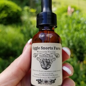 May include: A brown glass bottle with a black dropper top. The label reads "Giggle Snorts Farm Wildcrafted Tincture Dandelion Root". The label also includes directions for use and ingredients, which are "Organic Cane Alcohol, Wildcrafted Dandelion Root & Pure Love."