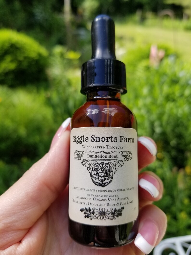 May include: A brown glass bottle with a black dropper top. The label reads "Giggle Snorts Farm Wildcrafted Tincture Dandelion Root". The label also includes directions for use and ingredients, which are "Organic Cane Alcohol, Wildcrafted Dandelion Root & Pure Love."