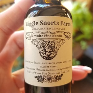 Organic Eastern White Pine Needle Tincture ~ Pinus strobus