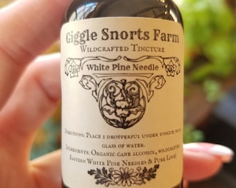 Organic Eastern White Pine Needle Tincture ~ Pinus strobus