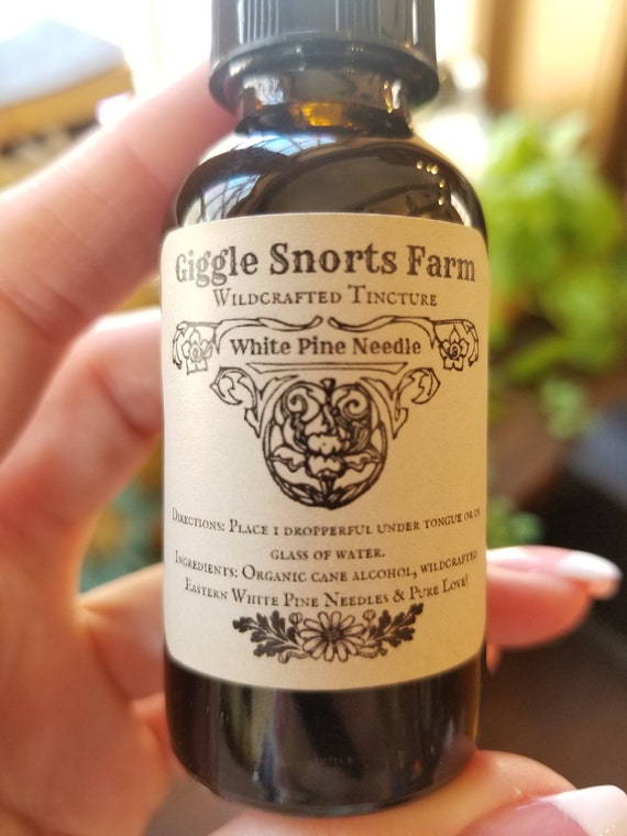 Organic Eastern White Pine Needle Tincture ~ Pinus strobus