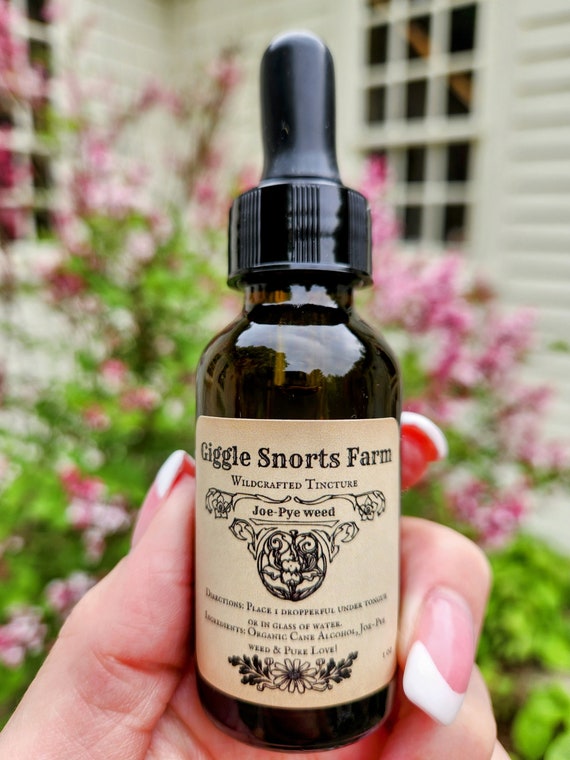 Organic Joe-Pye Weed Tincture ~ Eupatorium purpureum