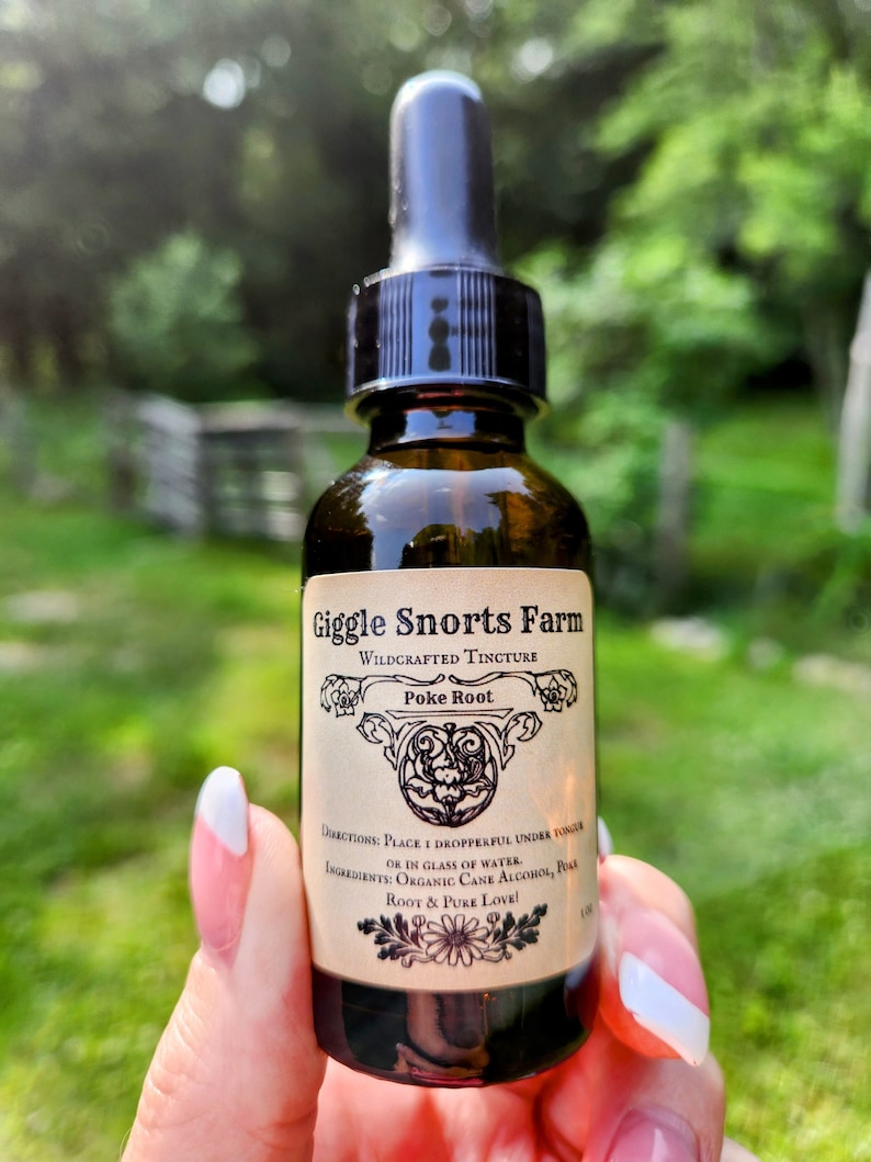 May include: A brown glass bottle with a black dropper top and a label that reads "Giggle Snorts Farm Wildcrafted Tincture Poke Root". The label also includes directions for use and ingredients, which are "Place 1 dropperful under tongue or in glass of water. Ingredients: Organic Cane Alcohol, Poke Root & Pure Love!"