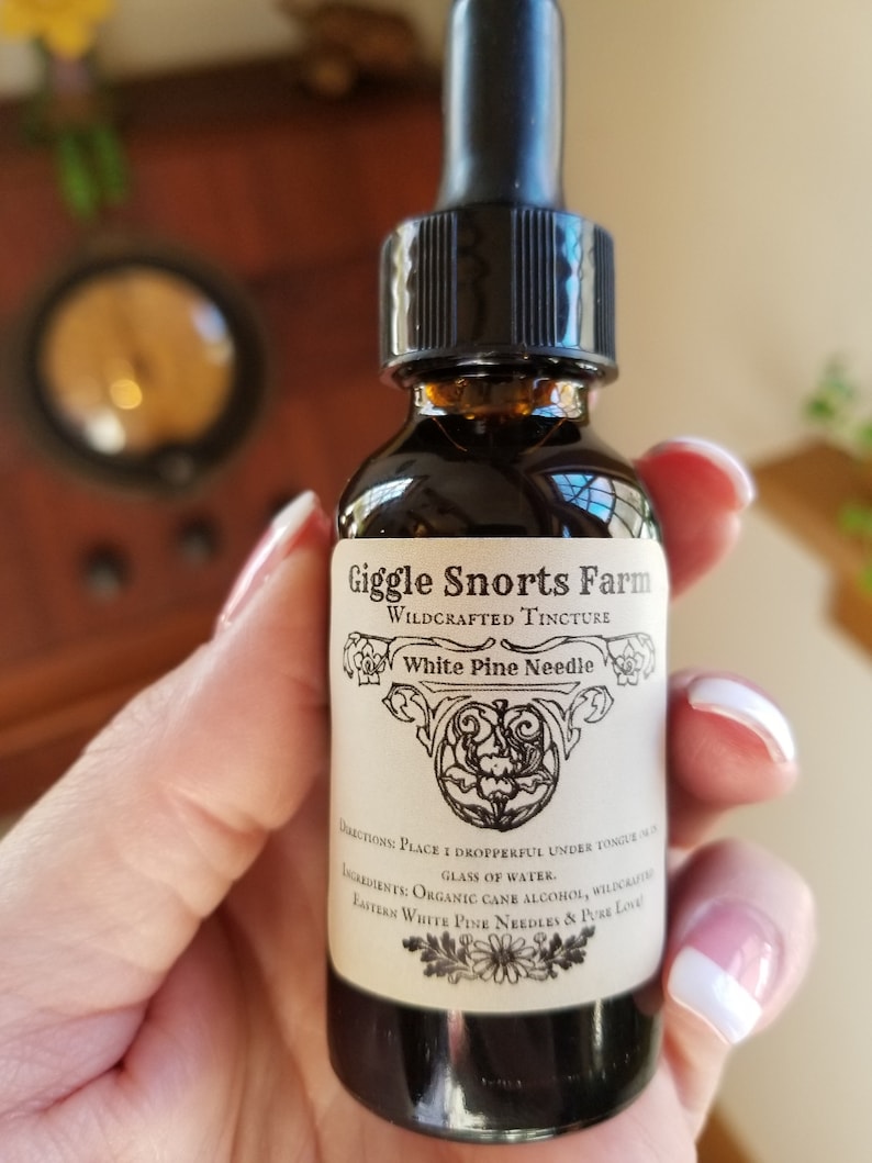 K&ouml;nnte beinhalten: Eine braune Glasflasche mit Tropfer und einem wei&szlig;en Etikett mit der Aufschrift "Giggle Snorts Farm Wildcrafted Tincture White Pine Needle". Das Etikett enth&auml;lt auch Gebrauchsanweisungen und Zutaten, n&auml;mlich "Bio-Rohrzuckeralkohol, wildgewachsenes Wei&szlig;kiefernnadeln & reine Liebe."