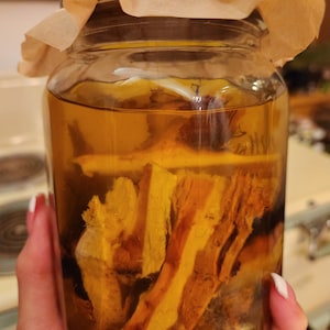 May include: A glass jar with a brown paper lid filled with a clear liquid and pieces of dried, yellow-brown bark.