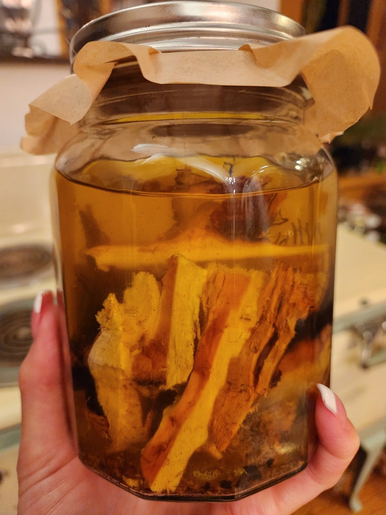 May include: A glass jar with a brown paper lid filled with a clear liquid and pieces of dried, yellow-brown bark.
