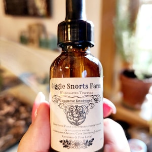 May include: A brown glass bottle with a black dropper top and a white label that reads "Giggle Snorts Farm Wildcrafted Tincture Japanese Knotweed". The label also includes directions for use and ingredients, which are "Place dropperful under tongue or in glass of water. Ingredients: Organic Cane Alcohol, Japanese Knotweed & Pure Love!"