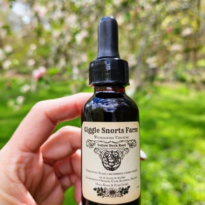 Organic Yellow Dock Root Tincture ~ Rumex crispus