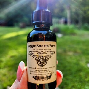 Puede incluir: Una botella de vidrio con un gotero llena de un l&iacute;quido oscuro. La etiqueta dice "Giggle Snorts Farm Wildcrafted Tincture Goldenrod". La etiqueta tambi&eacute;n incluye instrucciones de uso e ingredientes.