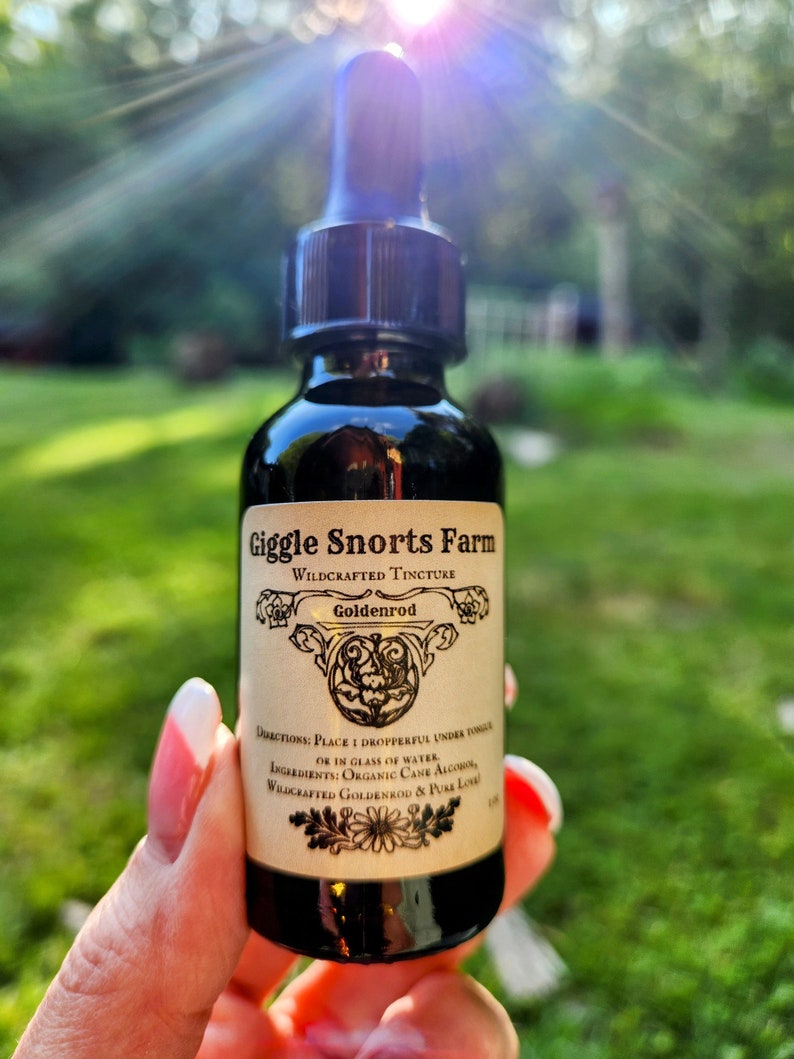 Puede incluir: Una botella de vidrio con un gotero llena de un l&iacute;quido oscuro. La etiqueta dice "Giggle Snorts Farm Wildcrafted Tincture Goldenrod". La etiqueta tambi&eacute;n incluye instrucciones de uso e ingredientes.