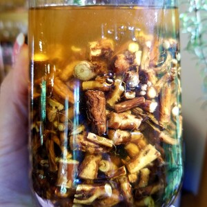 May include: A glass jar filled with a clear liquid and brown, dried roots. The jar is partially filled with the liquid and the roots are visible through the glass.