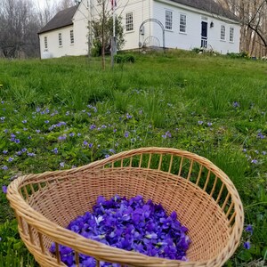 Puede incluir: Una cesta de mimbre llena de p&eacute;talos de flores moradas y blancas se encuentra en un c&eacute;sped verde frente a una casa de campo blanca.