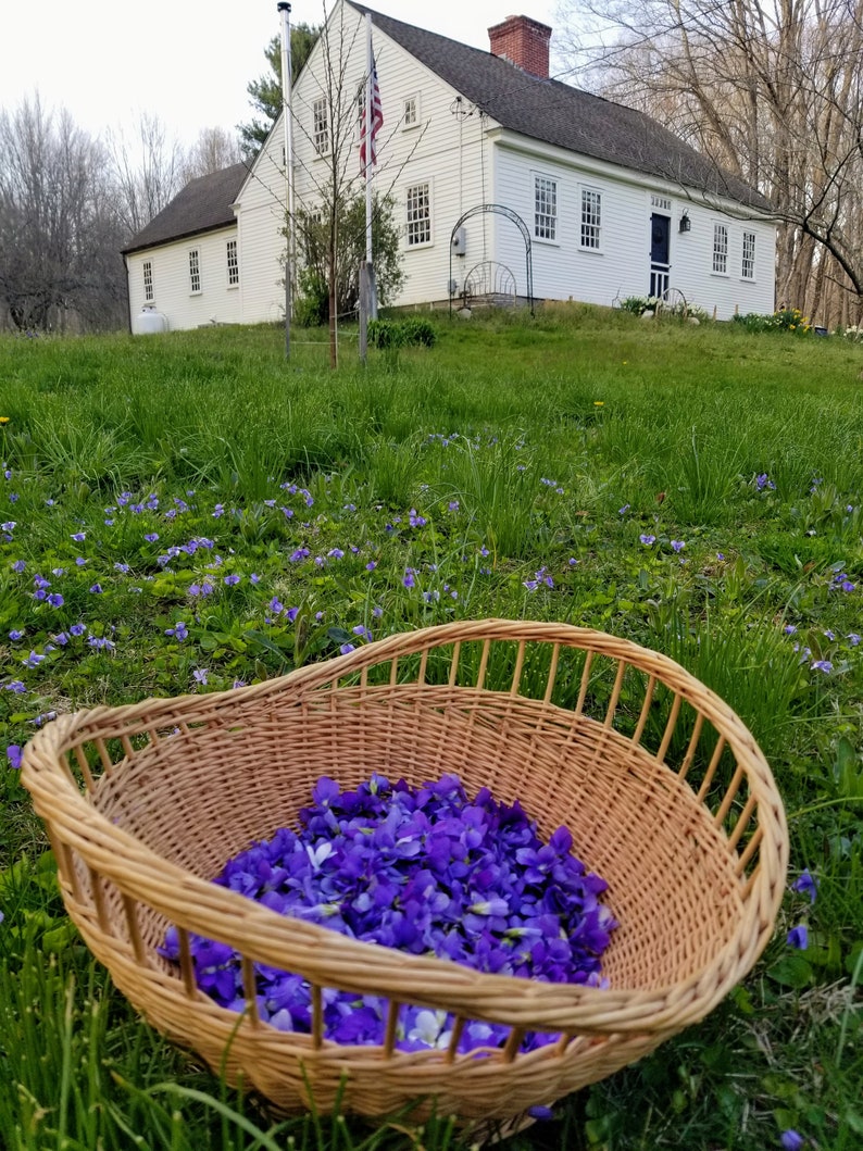 Puede incluir: Una cesta de mimbre llena de p&eacute;talos de flores moradas y blancas se encuentra en un c&eacute;sped verde frente a una casa de campo blanca.