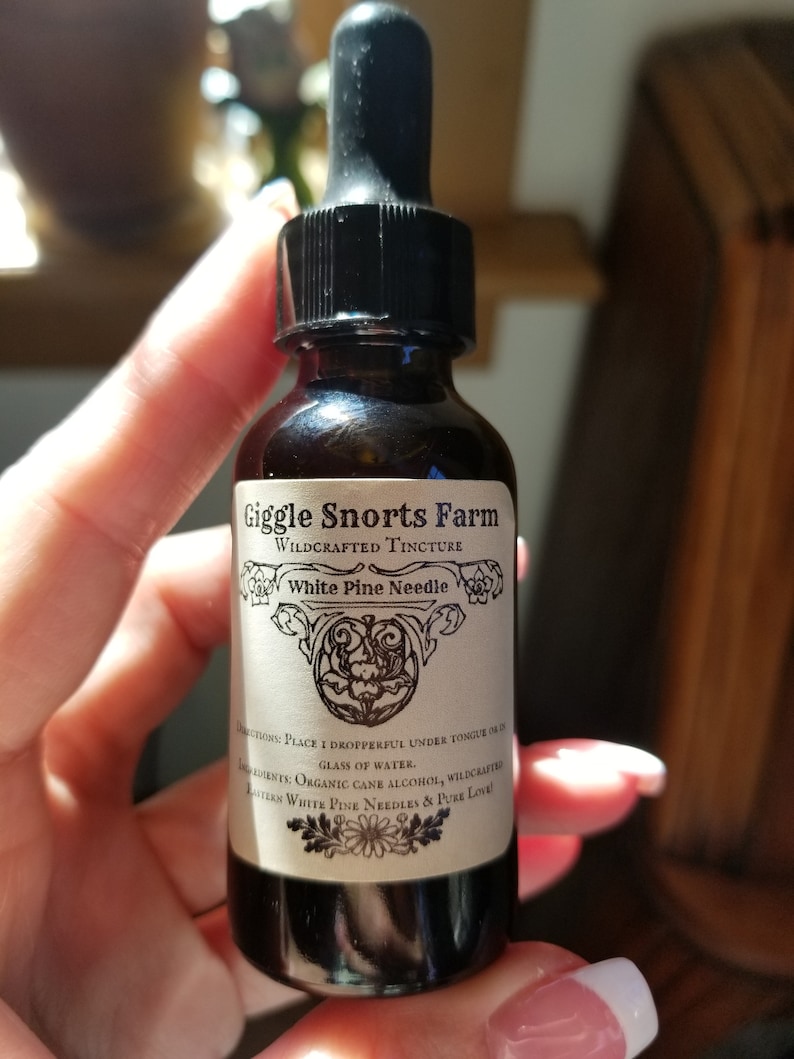 K&ouml;nnte beinhalten: Eine Glasflasche mit Tropfer und einem wei&szlig;en Etikett, auf dem "Giggle Snorts Farm Wildcrafted Tincture White Pine Needle" steht. Das Etikett enth&auml;lt auch Gebrauchsanweisungen und Zutaten, n&auml;mlich "Organic Cane Alcohol, Wildcrafted Eastern White Pine Needles & Pure Love".