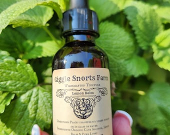 Organic Lemon Balm Tincture ~ Melissa officinalis