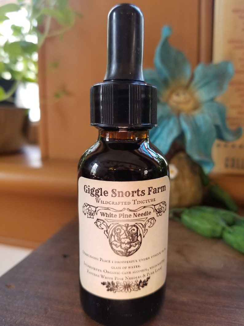 K&ouml;nnte beinhalten: Eine braune Glasflasche mit einem schwarzen Tropfer und einem wei&szlig;en Etikett. Das Etikett lautet "Giggle Snorts Farm Wildcrafted Tincture White Pine Needle". Das Etikett enth&auml;lt auch Gebrauchsanweisungen und Zutaten.