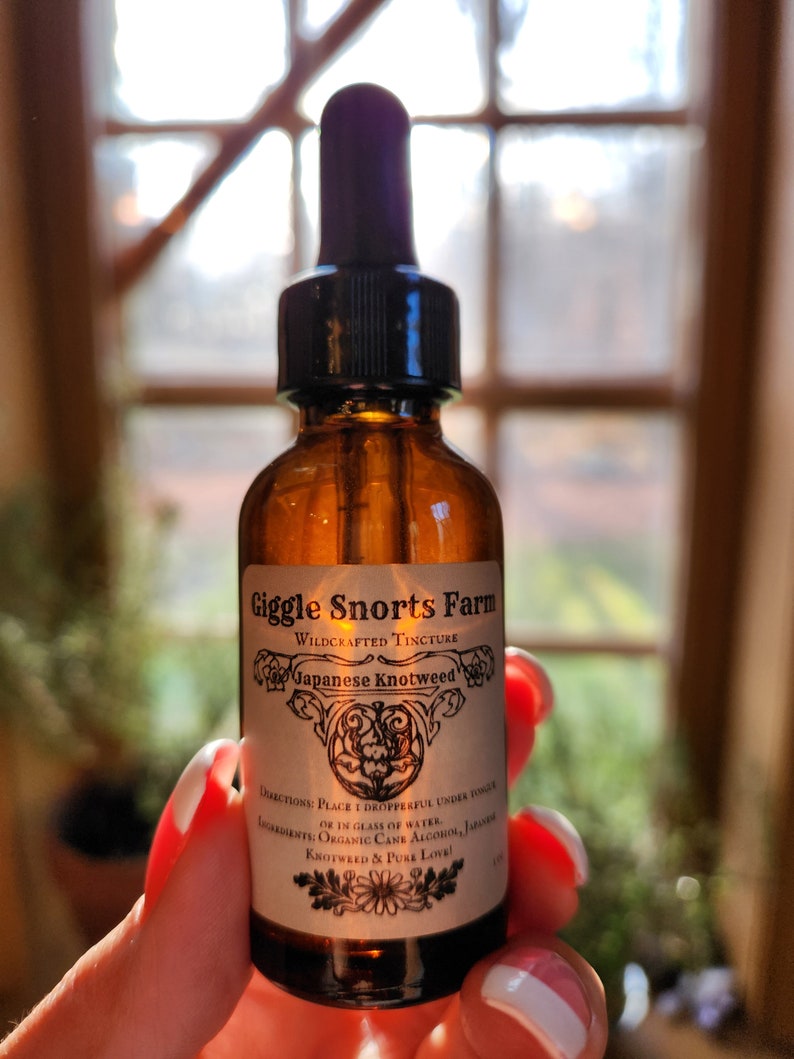 May include: A brown glass bottle with a dropper top and a white label that reads "Giggle Snorts Farm Wildcrafted Tincture Japanese Knotweed". The label has a floral design and includes directions for use and ingredients.