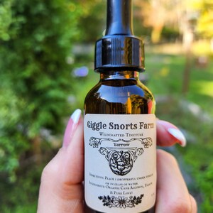 May include: A brown glass bottle with a black dropper top. The label reads "Giggle Snorts Farm", "Wildcrafted Tincture", "Yarrow", "Directions: Place 1 dropperful under tongue or in glass of water", "Ingredients: Organic Cane Alcohol, Yarrow & Pure Love!"