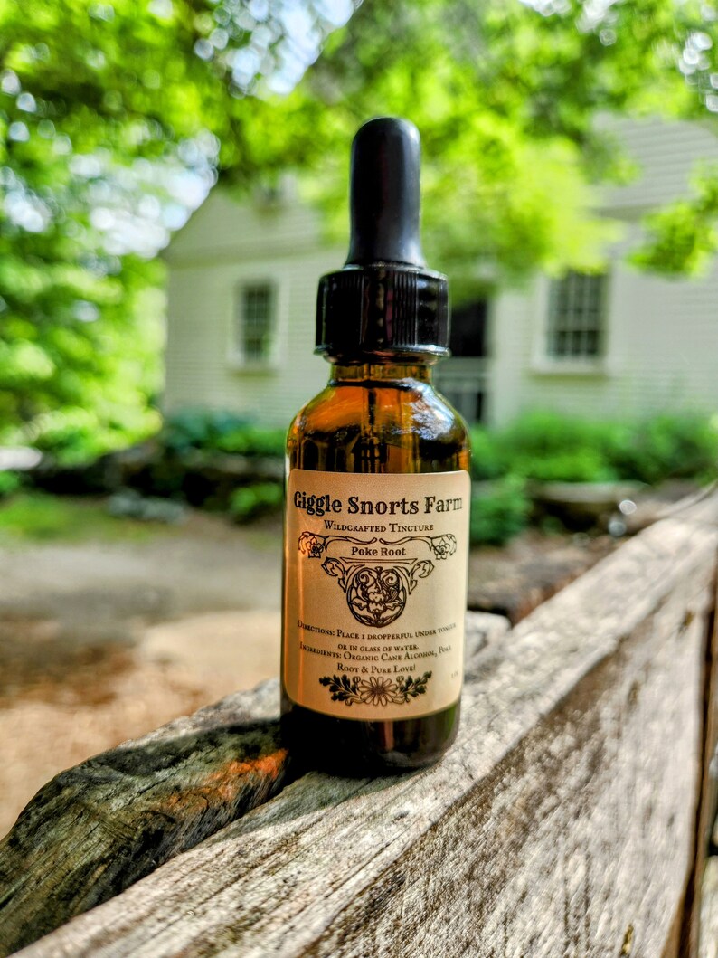 May include: A glass bottle with a dropper filled with a brown liquid. The bottle has a label that reads "Giggle Snorts Farm Wildcrafted Tincture Poke Root Directions: Place 1 dropperful under tongue or in glass of water. Ingredients: Organic Cane Alcohol, Poke Root & Pure Love!"