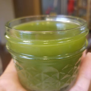Organic Jewelweed Salve ~Impatiens capensis