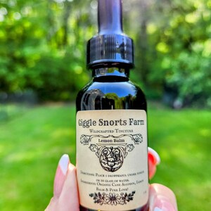 May include: A dark glass bottle with a dropper top and a label that reads "Giggle Snorts Farm Wildcrafted Tincture Lemon Balm". The label has a floral design and the text "Directions: Place 1 dropperful under tongue or in glass of water. Ingredients: Organic Cane Alcohol, Lemon Balm & Pure Love!"