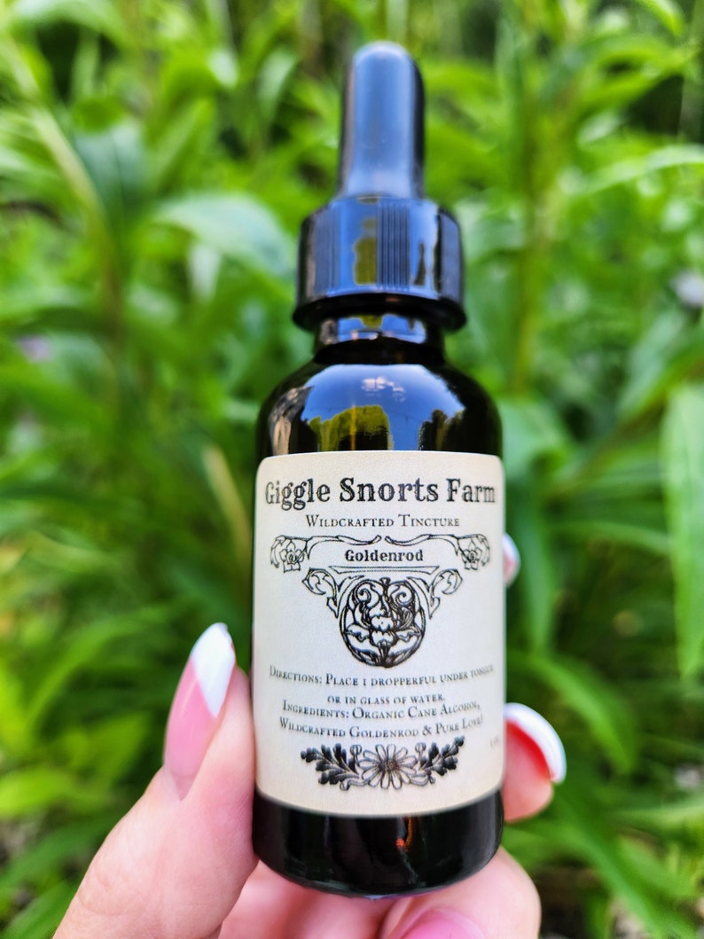 Puede incluir: Una botella de vidrio marr&oacute;n oscuro con un gotero negro. La botella est&aacute; etiquetada con "Giggle Snorts Farm Wildcrafted Tincture Goldenrod". La etiqueta tiene un borde decorativo y una peque&ntilde;a imagen de una flor.