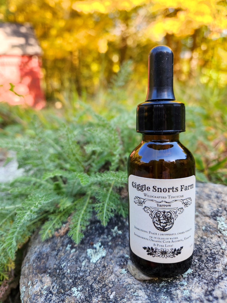 May include: A small brown glass bottle with a black dropper top. The bottle is labeled "Giggle Snorts Farm Wildcrafted Tincture Yarrow". The label also includes directions for use and ingredients: "Place 1 dropperful under tongue or in glass of water. Ingredients: Organic Cane Alcohol, Yarrow & Pure Love!"