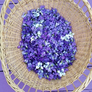 Puede incluir: Una cesta de mimbre llena de flores violetas y blancas. La cesta est&aacute; sobre una superficie morada.
