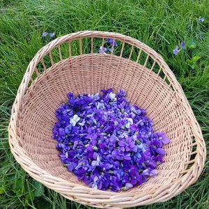 Puede incluir: Una cesta de mimbre llena de una gran cantidad de violetas silvestres moradas y blancas.
