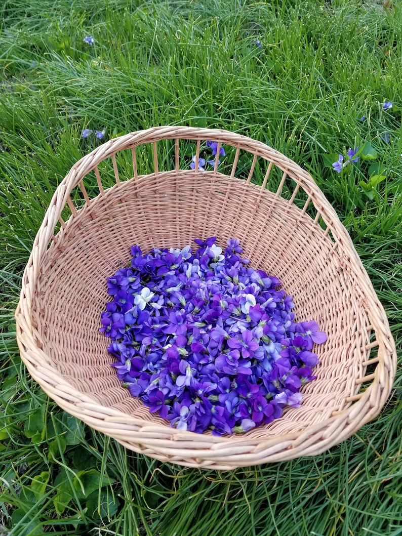 Puede incluir: Una cesta de mimbre llena de una gran cantidad de violetas silvestres moradas y blancas.