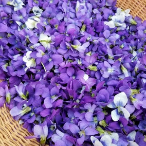 Puede incluir: Una cesta de mimbre llena de una colecci&oacute;n de flores de violeta p&uacute;rpura y blanca.