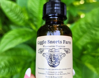 Organic Poke Root Tincture ~ Phytolacca americana ~