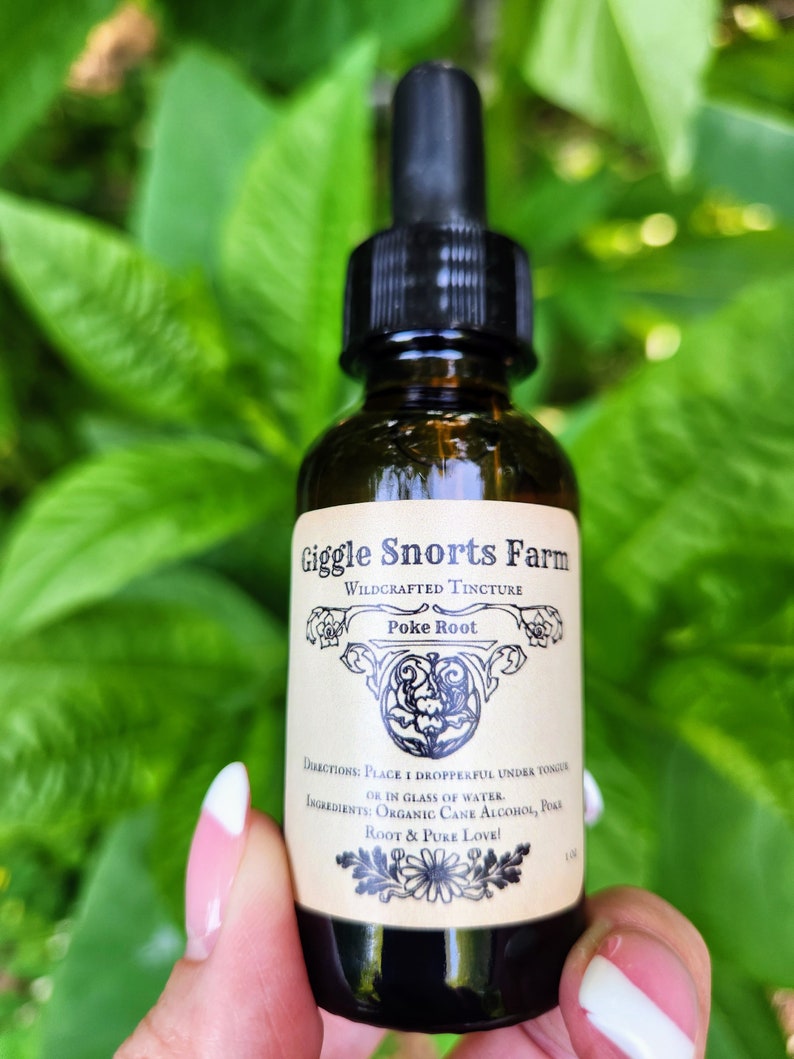 May include: A brown glass bottle with a black dropper top and a white label. The label reads "Giggle Snorts Farm Wildcrafted Tincture Poke Root". The label also includes directions for use and ingredients, which are "Organic Cane Alcohol, Poke Root & Pure Love!"