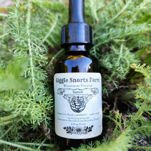 Organic Yarrow Tincture ~ Achillea millefolium