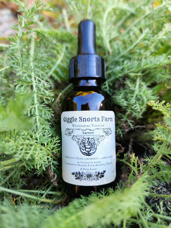 Organic Yarrow Tincture ~ Achillea millefolium