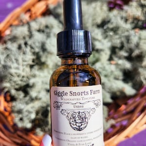 Organic Usnea Tincture