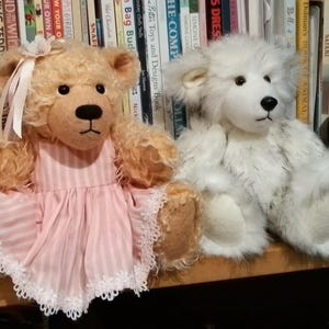 Può includere: Due orsacchiotti di peluche seduti fianco a fianco. L'orso a sinistra ha una pelliccia marrone dorato, un vestito a righe rosa e bianche con bordo in pizzo bianco e un fiocco rosa sulla testa. L'orso a destra ha una pelliccia bianca e grigia.