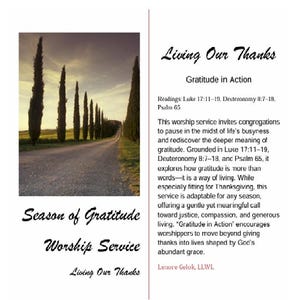 May include: A promotional image for a worship service titled "Season of Gratitude." The image features a scenic road lined with tall trees and text that reads "Living Our Thanks" and "Gratitude in Action." The service is adaptable for any season.
