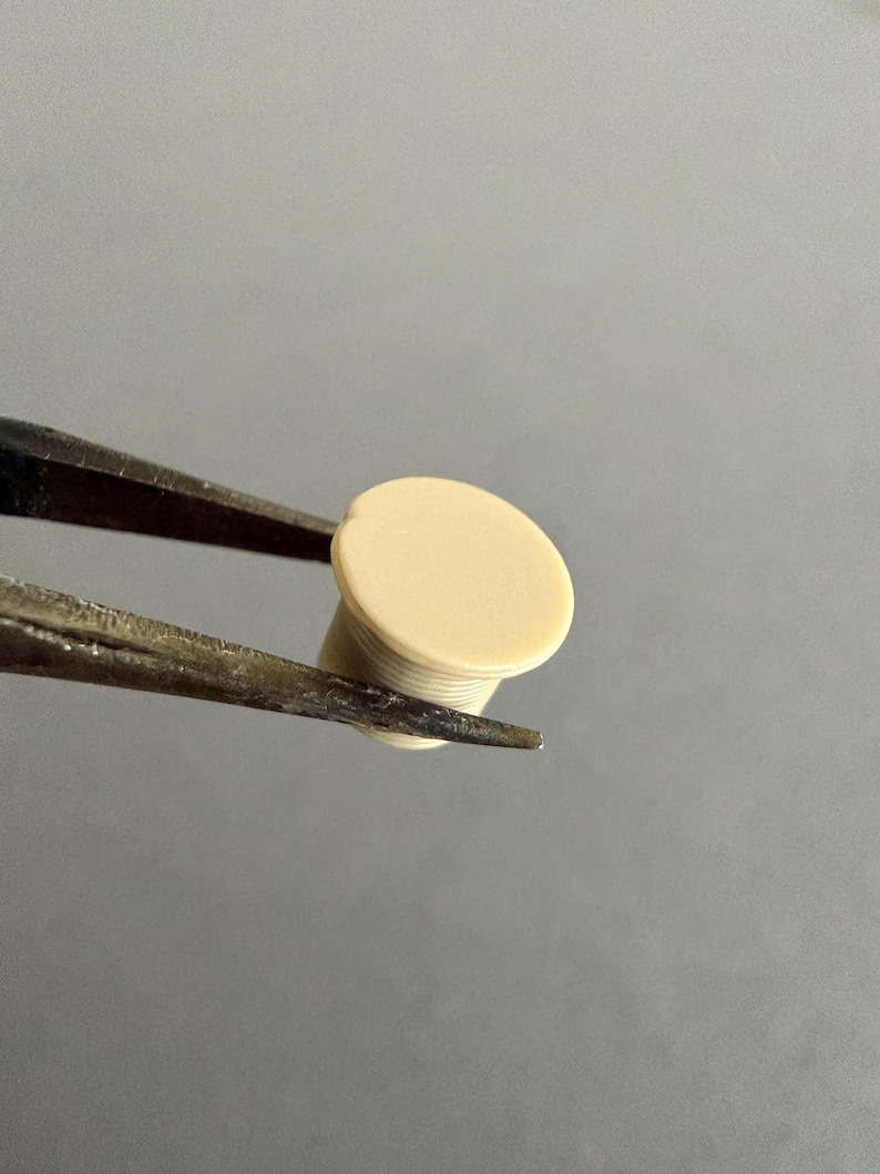 May include: A small, off-white plug held by tweezers. The plug has a flat, circular top and a cylindrical body with a ridged texture. The tweezers are dark metal, and the background is a solid, neutral gray.