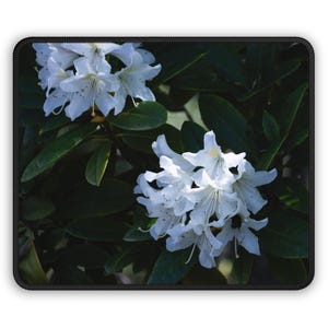 Rhododendron Bumblebutt Gaming Mouse Pad