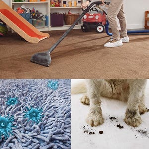 May include: A person using a carpet cleaner on a brown carpet in a playroom. The image also shows a close-up of a blue carpet with virus illustrations and a dog's paws on a white carpet with dirt.