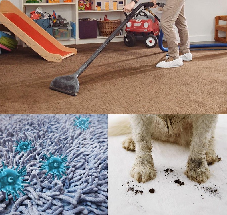 May include: A person using a carpet cleaner on a brown carpet in a playroom. The image also shows a close-up of a blue carpet with virus illustrations and a dog's paws on a white carpet with dirt.