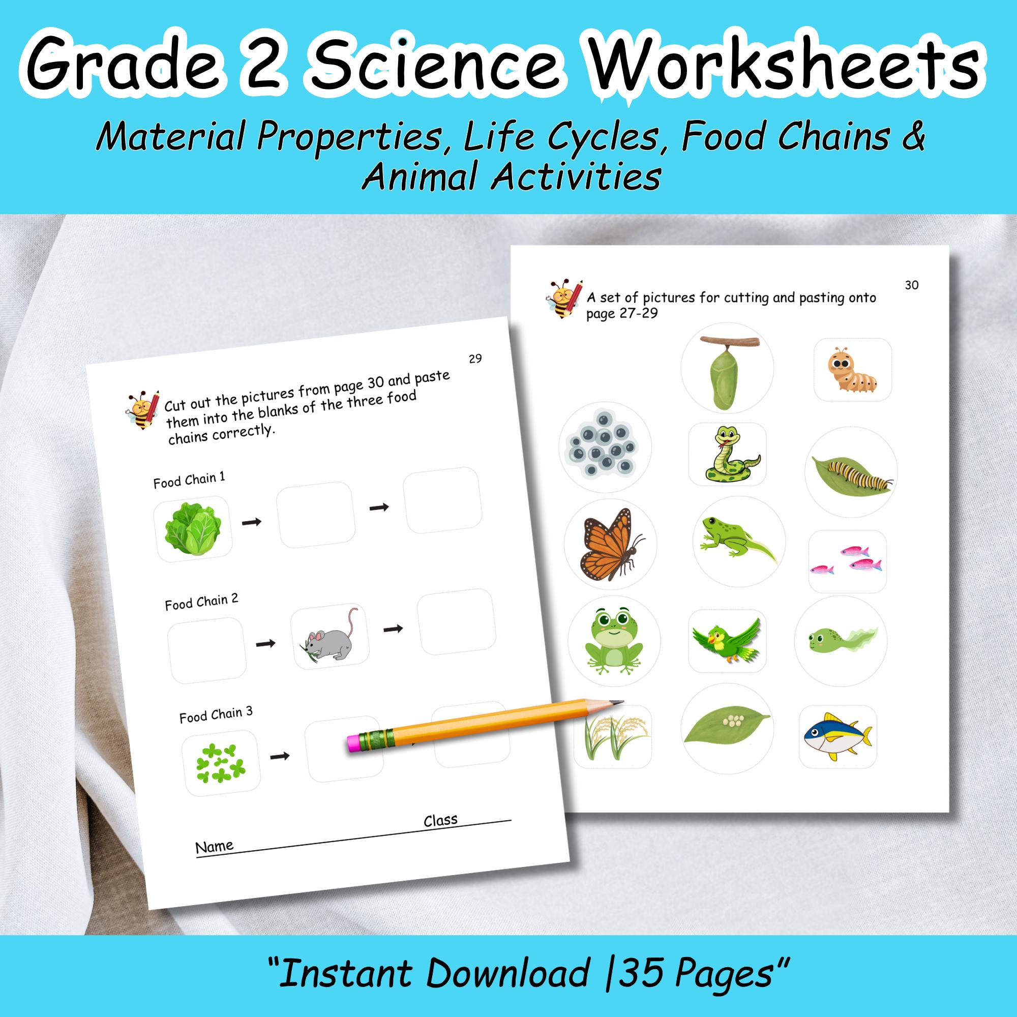 Grade 2 Science Worksheets | Material Properties, Life Cycles, Food