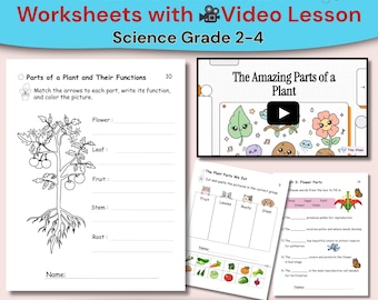Delen van een plant Werkbladen met videoles | Graad 2 -4 Wetenschap | Inclusief antwoordsleutels