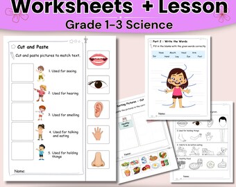 Werkbladen Lichaam en gezondheid met lesplan | Afdrukbaar menselijk lichaam graad 1-3