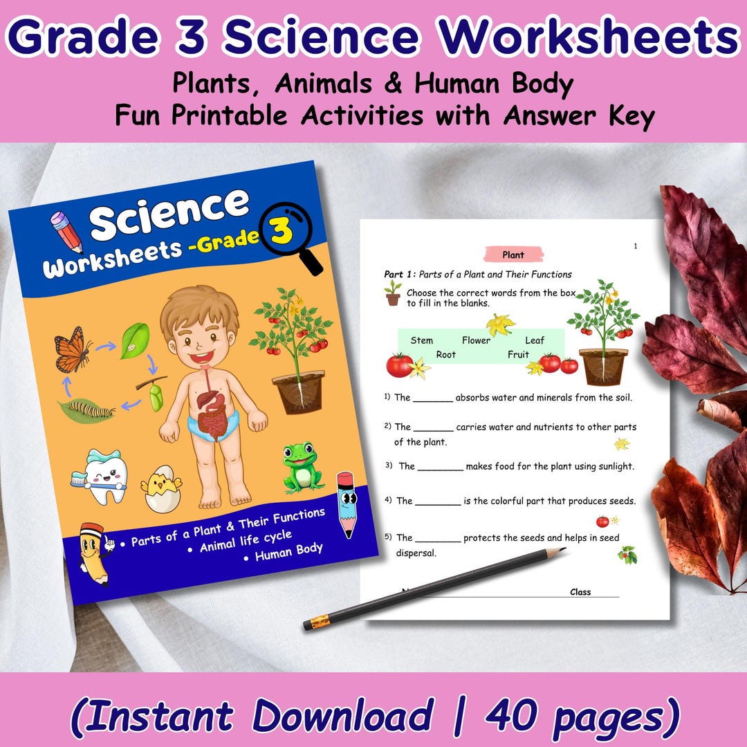 Grade 3 Science Worksheets | Plants, Animals &amp; Human Body | Fun Printable Activities With Answer ...