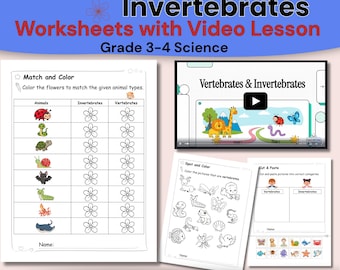 Werkbladen Gewervelde versus ongewervelde met videolessen | Dierclassificatie Graad 3 4 | Wetenschappelijke activiteiten
