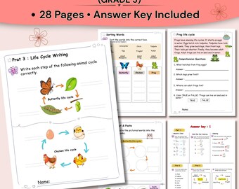 Afdrukbare werkbladen levenscyclus dieren | Vlinderkikker Kip Mosquito Wetenschap graad 3 pdf