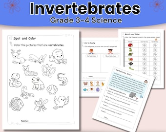 Werkbladen Gewervelde versus ongewervelde dieren | Dierclassificatie graad 3-4 | PDF van 33 pagina's
